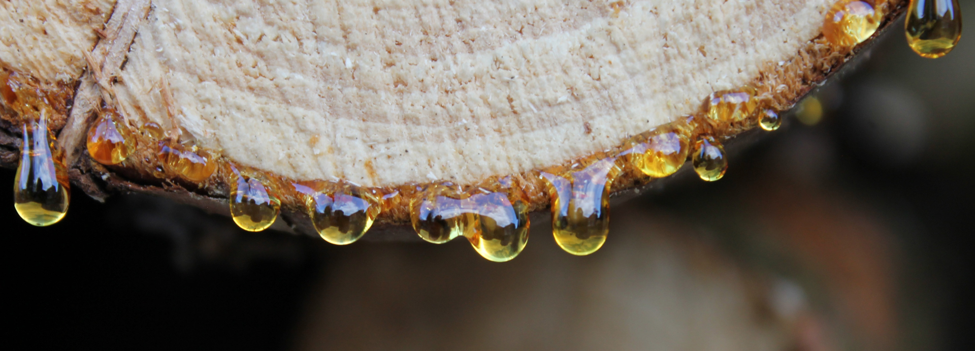 Suichuan Haizhou Resin Co., Ltd.