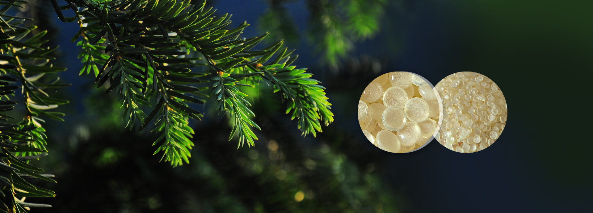 Suichuan Haizhou Resin Co., Ltd.